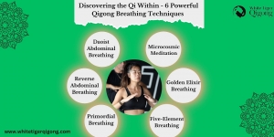 Discovering the Qi Within - 6 Powerful Qigong Breathing Techniques 